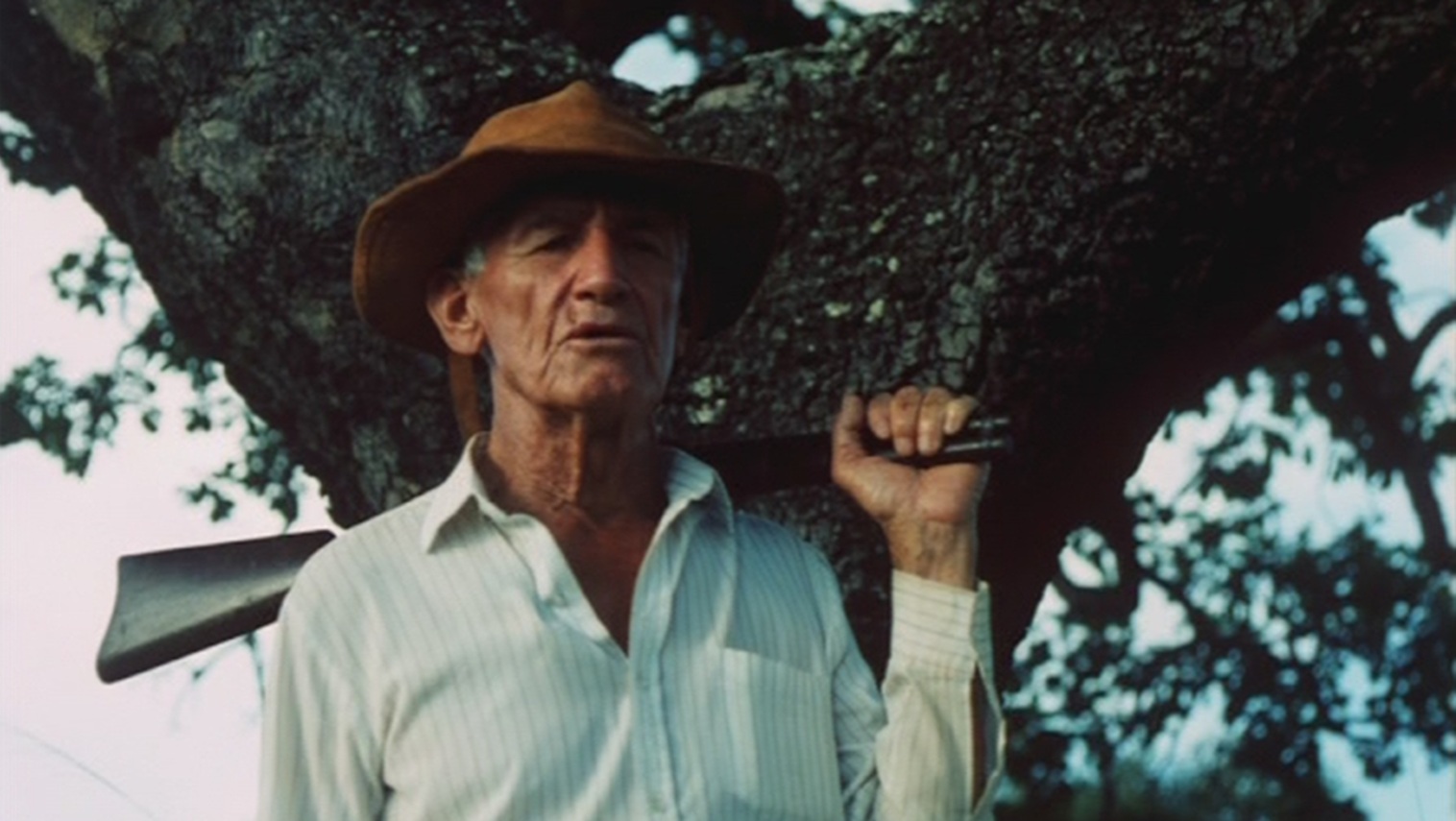 Foto de Domingo José Valente