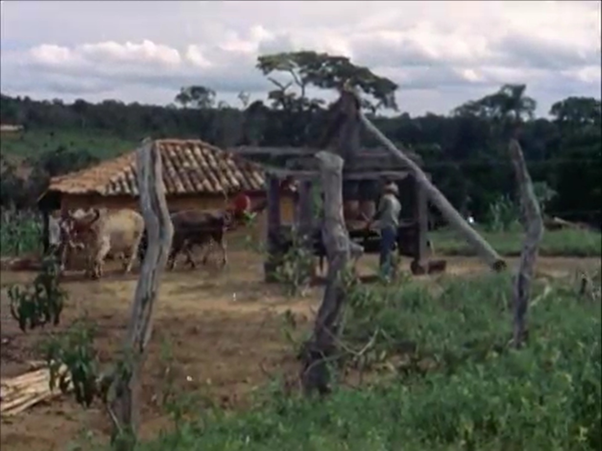Foto de Benedito Antônio (Dito Nonata)