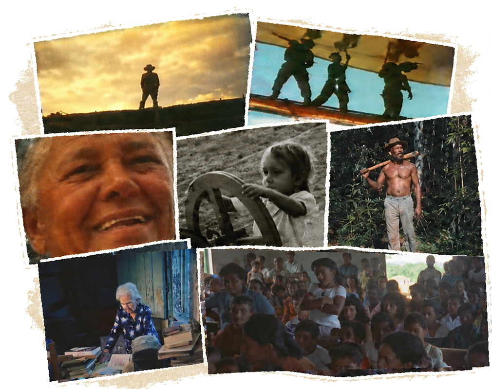 Mosaico de fotos do Brasil Central